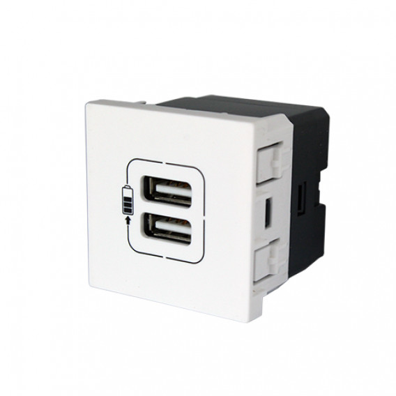 Modulo Entrada Usb Duplo - Pial Plus + Branco
